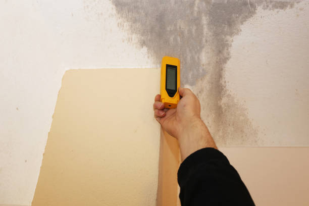 Forensic Mold Investigation in Lake Kerr, FL