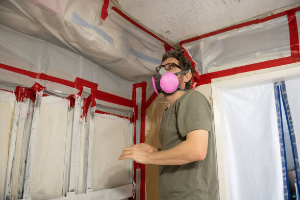 Best Attic Mold Removal  in Lake Kerr, FL