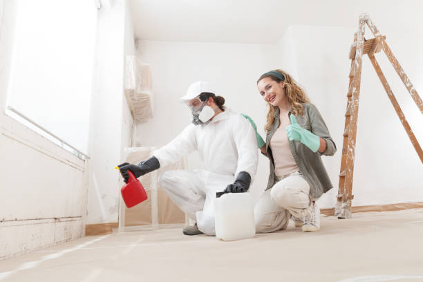 Best Comprehensive Air Testing for Mold Contaminants  in Lake Kerr, FL