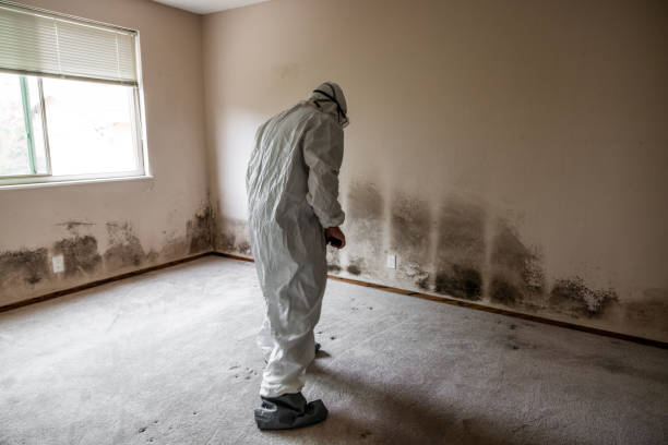 Best Post-Remediation Verification Testing  in Lake Kerr, FL
